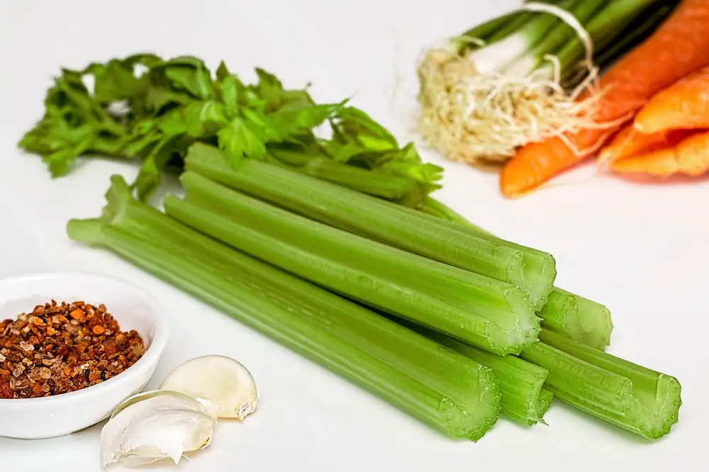 Celery Benefits