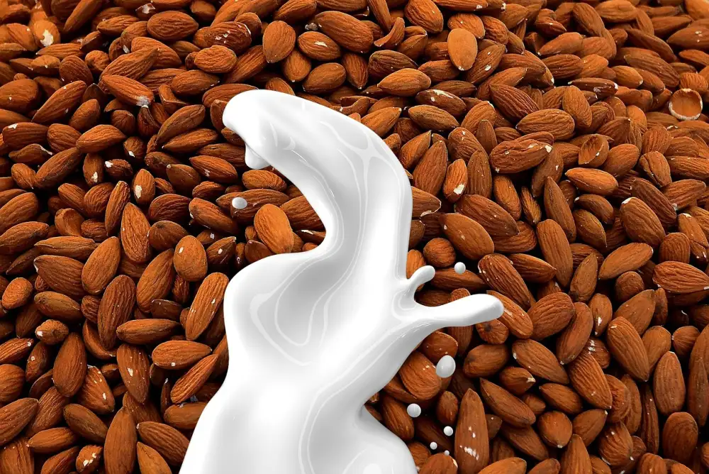 Does Almond Milk Go Bad