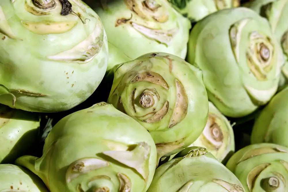 Kohlrabi Whole Foods