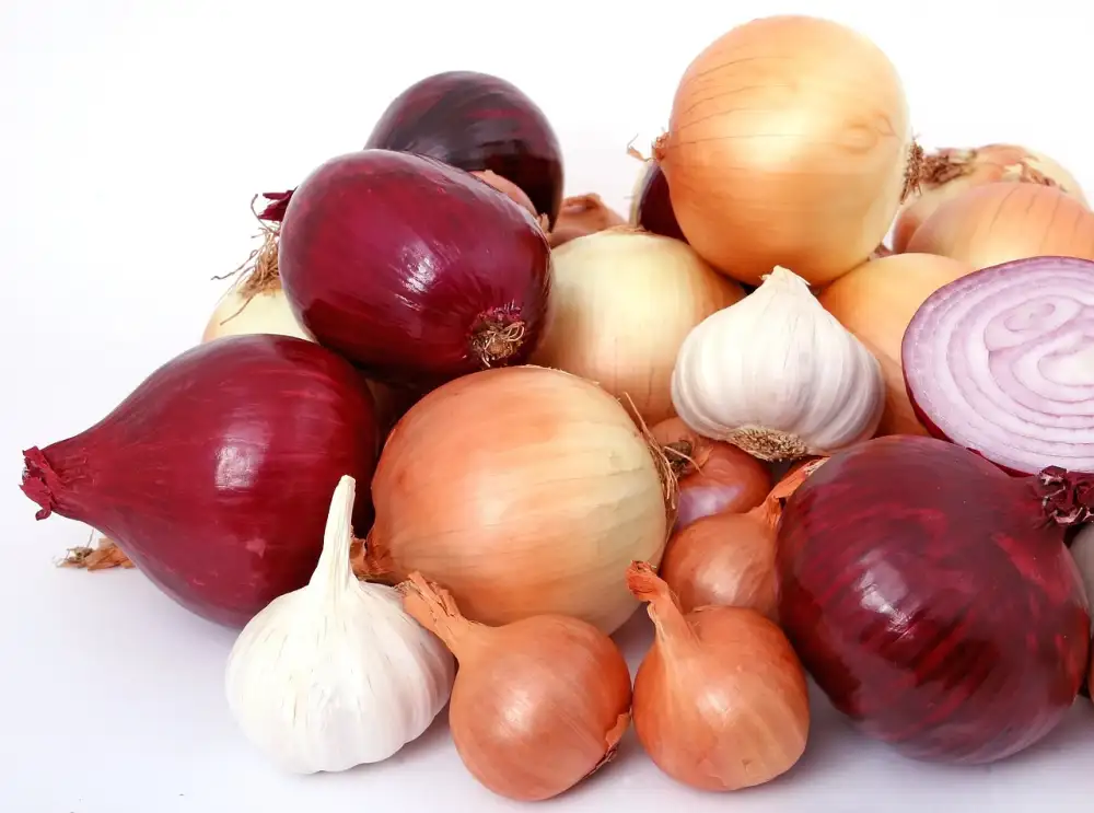 How To Store Onions